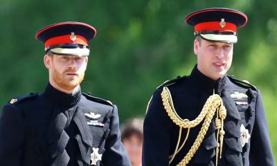 PRINCE HARRY AND WILLIAM