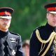 PRINCE HARRY AND WILLIAM