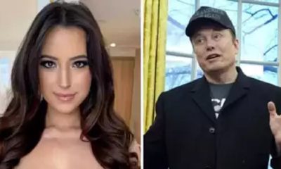 elon musk and ashley st clair