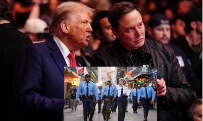 elon musk with trump super bowl