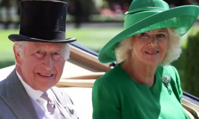 CAMKING IN GREEN