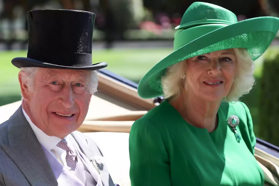 CAMKING IN GREEN