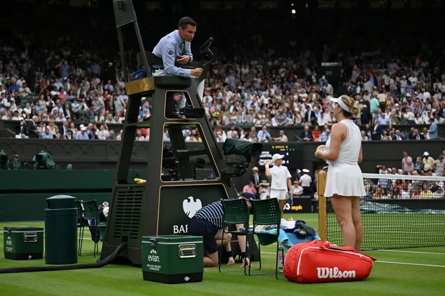 umpire ladder
